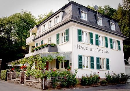 Pension "Haus Am Walde" Brodenbach, Mosel 외부 사진