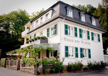 Pension "Haus Am Walde" Brodenbach, Mosel 외부 사진