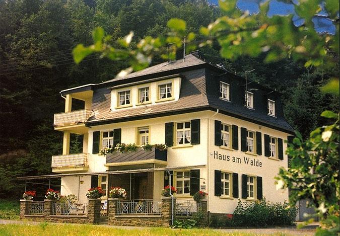 Pension "Haus Am Walde" Brodenbach, Mosel 외부 사진