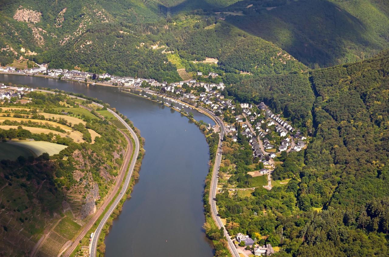 Pension "Haus Am Walde" Brodenbach, Mosel 외부 사진