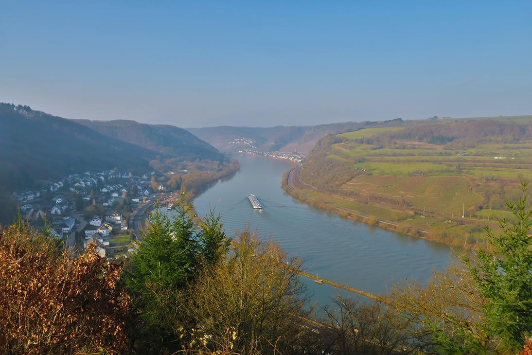 Pension "Haus Am Walde" Brodenbach, Mosel 외부 사진