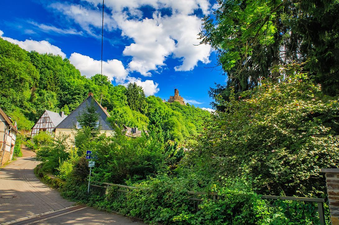 Pension "Haus Am Walde" Brodenbach, Mosel 외부 사진