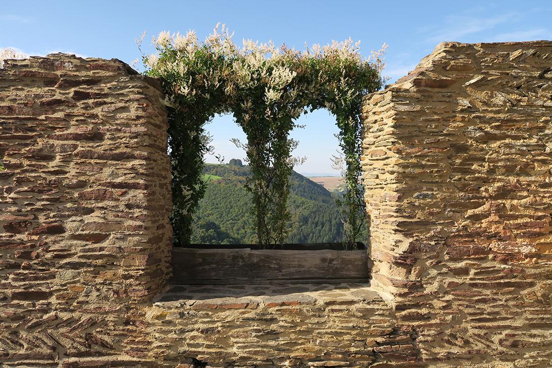 Pension "Haus Am Walde" Brodenbach, Mosel 외부 사진