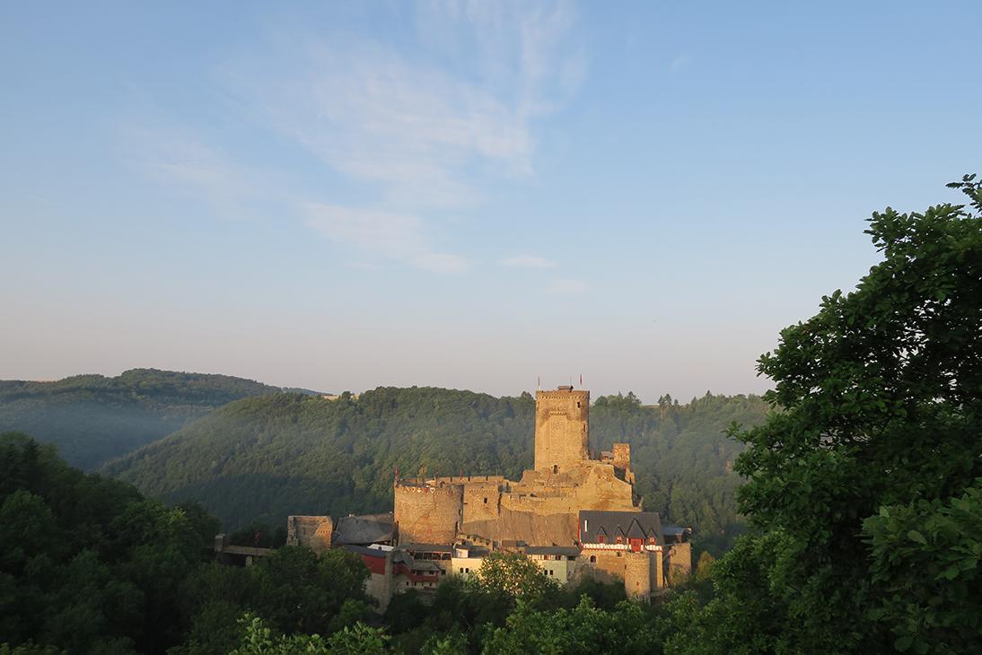 Pension "Haus Am Walde" Brodenbach, Mosel 외부 사진